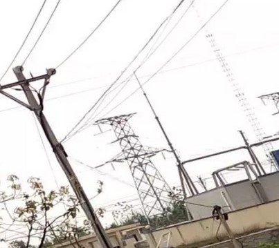 看看這些電力人的春季巡檢！