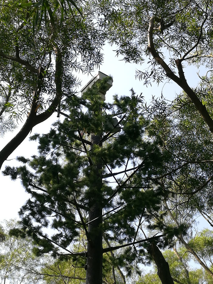 ?森林火災(zāi)風(fēng)險普查工作任重而道遠(yuǎn)，華瑞通發(fā)揮行業(yè)優(yōu)勢